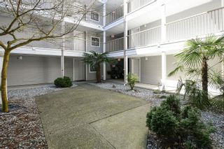 Photo 6: 309 282 Birch St in Campbell River: CR Campbell River Central Condo for sale : MLS®# 960898