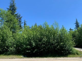 Photo 2: 1154 7th Ave in Ucluelet: PA Salmon Beach Land for sale (Port Alberni)  : MLS®# 877991