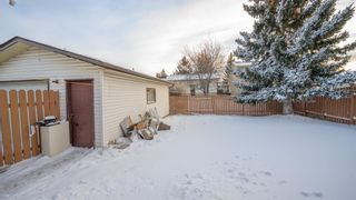 Photo 29: 3413 Radcliffe Drive SE in Calgary: Albert Park/Radisson Heights Detached for sale : MLS®# A1170577