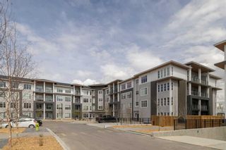 Photo 31: 1406 681 Savanna Boulevard NE in Calgary: Saddle Ridge Apartment for sale : MLS®# A2129782