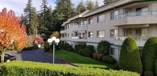 Photo 11: 245 2451 GLADWIN Road in Abbotsford: Abbotsford West Condo for sale in "Centennial Court" : MLS®# R2321463