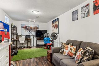 Photo 20: 41A Rosetree Road NW in Calgary: Rosemont Semi Detached (Half Duplex) for sale : MLS®# A2128935