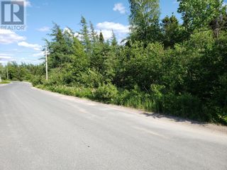 Photo 13: 35 Angle Brook Road in Glovertown: Vacant Land for sale : MLS®# 1261649