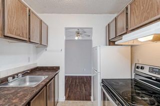 Photo 17: 203 1113 37 Street SW in Calgary: Rosscarrock Apartment for sale : MLS®# A2080101