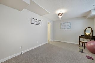 Photo 38: 138 Arbour Meadows Close in Calgary: Arbour Lake Detached for sale : MLS®# A2002526