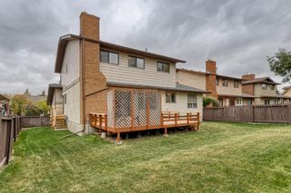 Photo 44: 319 Berkshire Place NW in Calgary: Beddington Heights Detached for sale : MLS®# A2006285