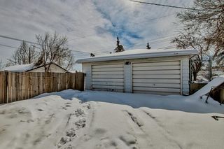 Photo 44: 531 Thornhill Drive NW in Calgary: Thorncliffe Detached for sale : MLS®# A2031837