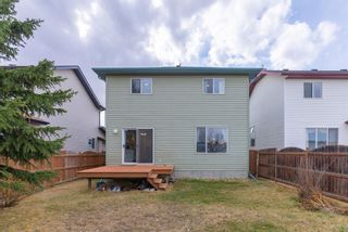 Photo 31: 151 Silver Springs Way NW: Airdrie Detached for sale : MLS®# A1209556