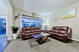 Photo 22: 142 SKYVIEW POINT CR NE in Calgary: Skyview Ranch House for sale : MLS®# C4226415