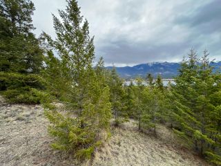 Photo 21: 2700 WESTSIDE ROAD in Invermere: House for sale : MLS®# 2470484