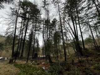 Photo 9: 1805 CAPE Drive: Bowen Island Land for sale in "The Cape on Bowen" : MLS®# R2665278