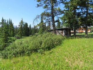 Photo 53: 2430 WARM BAY Road: Atlin House for sale (Iskut to Atlin)  : MLS®# R2700660