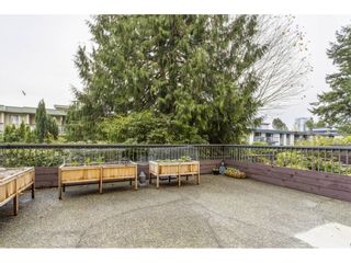 Photo 3: 104 1048 KING ALBERT Avenue in Coquitlam: Central Coquitlam Condo for sale in "Blue Mountain Manor" : MLS®# R2632180