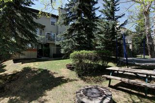 Photo 5: 56 MACEWAN GLEN Drive NW in Calgary: MacEwan Glen House for sale : MLS®# C4173721