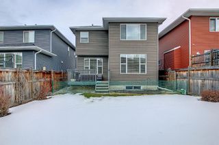 Photo 30: 72 Auburn Glen View SE in Calgary: Auburn Bay Detached for sale : MLS®# A1174711