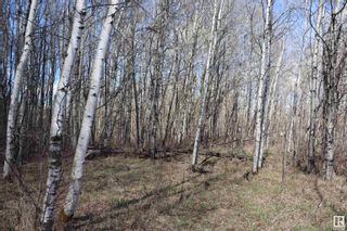 Photo 10: 7 Northbrook Estates: Rural Thorhild County Rural Land/Vacant Lot for sale : MLS®# E4295430