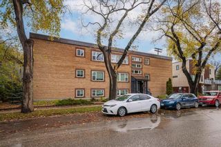 Photo 1: 205 118 Scott Street in Winnipeg: Osborne Village Condominium for sale (1B)  : MLS®# 202402861