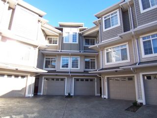 Photo 39: 24 6852 193RD Street in Surrey: Clayton Townhouse for sale in "INDIGO" (Cloverdale)  : MLS®# F1301220