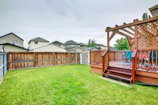 Photo 49: 1567 Copperfield Boulevard SE in Calgary: Copperfield Detached for sale : MLS®# A1234125