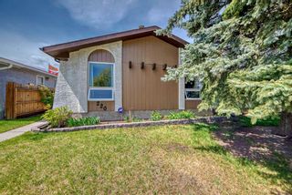 Main Photo: 220 Madeira Place NE in Calgary: Marlborough Park Detached for sale : MLS®# A2136013