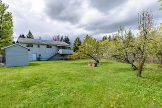 Photo 6: 1960 Urquhart Ave in Courtenay: CV Courtenay City House for sale (Comox Valley)  : MLS®# 903355