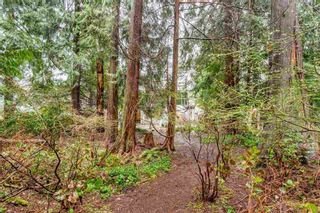 Photo 14: 1285 RIVER Drive in Coquitlam: River Springs House for sale : MLS®# R2160017