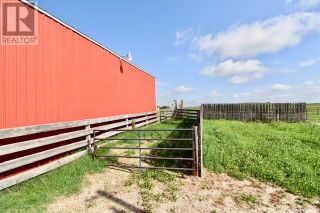 Photo 16: KRUCZKO RANCH in Big Stick Rm No. 141: Agriculture for sale : MLS®# SK903430