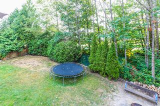 Photo 17: 22523 KENDRICK Loop in Maple Ridge: East Central House for sale : MLS®# R2195271