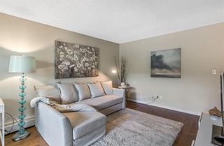 Photo 2: 104 709 3 Avenue NW in Calgary: Sunnyside Apartment for sale : MLS®# A1238709