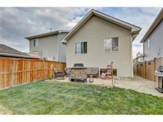 Photo 42: 286 Cranberry Close SE in Calgary: Cranston Detached for sale : MLS®# A1143993