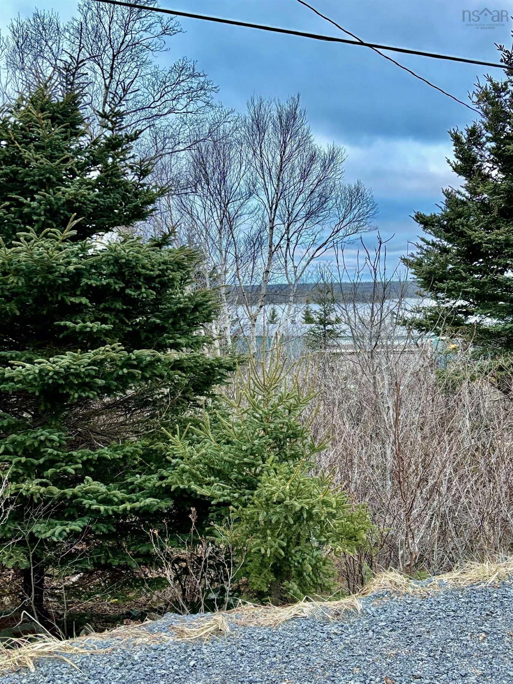 Main Photo: 1330 Ostrea Lake Road in Ostrea Lake: 35-Halifax County East Vacant Land for sale (Halifax-Dartmouth)  : MLS®# 202401581