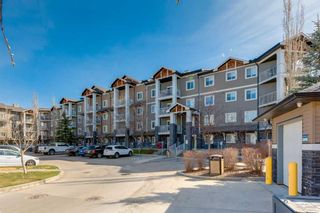 Main Photo: 1210 115 Prestwick Villas SE in Calgary: McKenzie Towne Apartment for sale : MLS®# A2125964