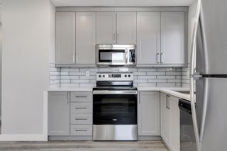 Photo 14: 2716 66 Street NE in Calgary: Pineridge Semi Detached (Half Duplex) for sale : MLS®# A2020775