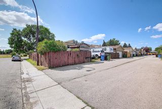 Photo 43: 51 Erin Park Close SE in Calgary: Erin Woods Detached for sale : MLS®# A1138830