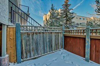Photo 6: 101 3615A 49 Street NW in Calgary: Varsity Apartment for sale : MLS®# A2016372