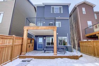Photo 37: 22 Evanscrest Heights NW in Calgary: Evanston Detached for sale : MLS®# A1178299