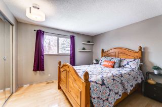 Photo 25: Greenview in Edmonton: Zone 29 House for sale : MLS®# E4231112