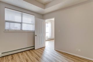 Photo 17: 304 1053 10 Street SW in Calgary: Beltline Apartment for sale : MLS®# A1253519