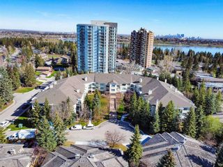 Main Photo: 306 2144 Paliswood Road SW in Calgary: Palliser Apartment for sale : MLS®# A2127528