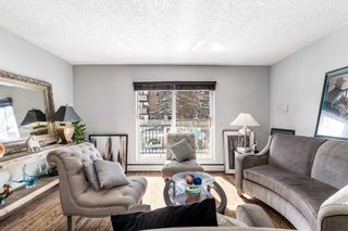 Photo 9: 202 912 19 Avenue SW in Calgary: Lower Mount Royal Apartment for sale : MLS®# A2113538