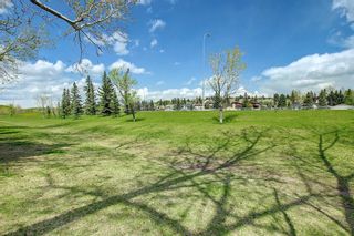 Photo 47: 572 Dalmeny Hill NW in Calgary: Dalhousie Detached for sale : MLS®# A1232933