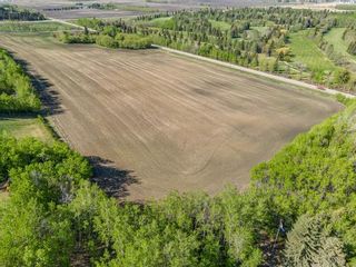 Photo 5: 38319 RR 270: Rural Red Deer County Commercial Land for sale : MLS®# A2046827