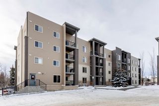 Photo 1: 3201 403 Mackenzie Way SW: Airdrie Apartment for sale : MLS®# A2022590