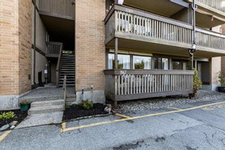 Photo 29: 1147 LILLOOET Road in North Vancouver: Lynnmour Condo for sale in "LYNNMOUR WEST" : MLS®# R2630230