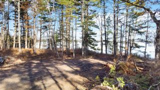 Photo 18: Lot 4 Harbour Acres Road in Molega: 406-Queens County Vacant Land for sale (South Shore)  : MLS®# 202324055