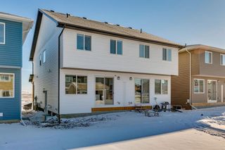 Photo 40: 216 Herron Mews NE in Calgary: Livingston Semi Detached (Half Duplex) for sale : MLS®# A2103163
