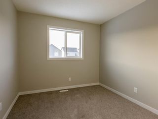 Photo 20: 167 Homestead Drive NE in Calgary: C-686 Detached for sale : MLS®# A2032804