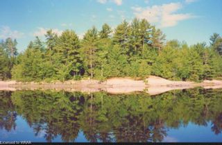 Photo 8: 3351 Miller Island in French River: Parry Sound Residential for sale : MLS®# 40418617