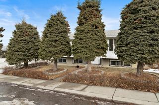 Photo 41: 7740 Hunterquay Road NW in Calgary: Huntington Hills Detached for sale : MLS®# A2021746