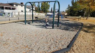 Photo 44: 515 Maidstone Drive NE in Calgary: Marlborough Park Detached for sale : MLS®# A2005484